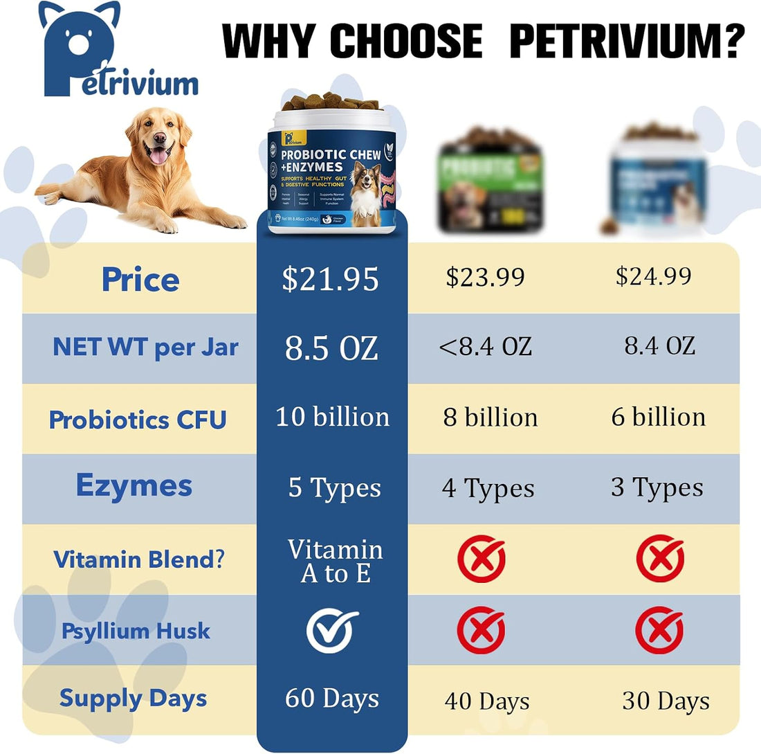 Probiotics for Dogs Digestive Health
