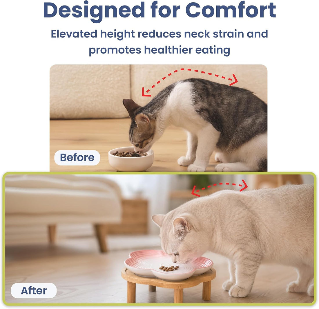 PawsPik Flower Ceramic Feeding Cat Plate with Raised Stand