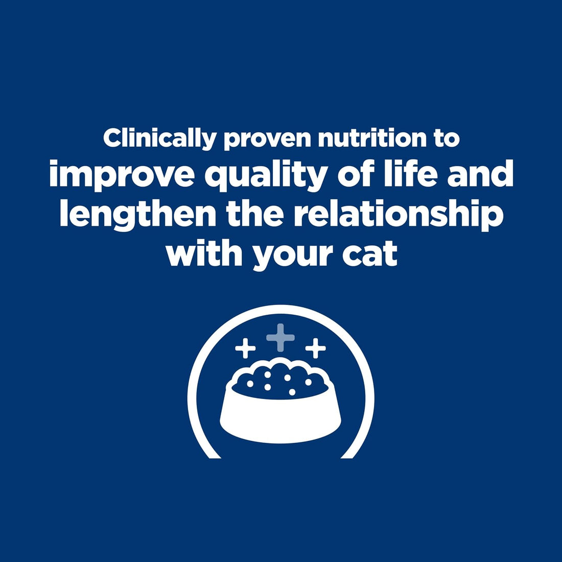 Hill's Prescription Diet k/d Kidney Care + j/d Mobility Care Dry Cat