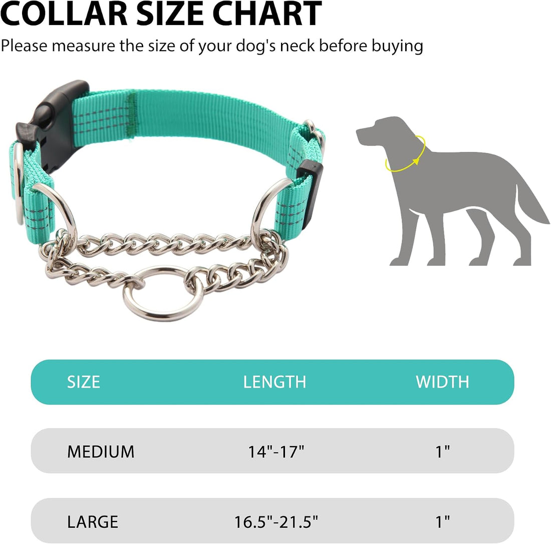 Martingale Collar for Dogs,Escape Proof No Pull, Teal, Large