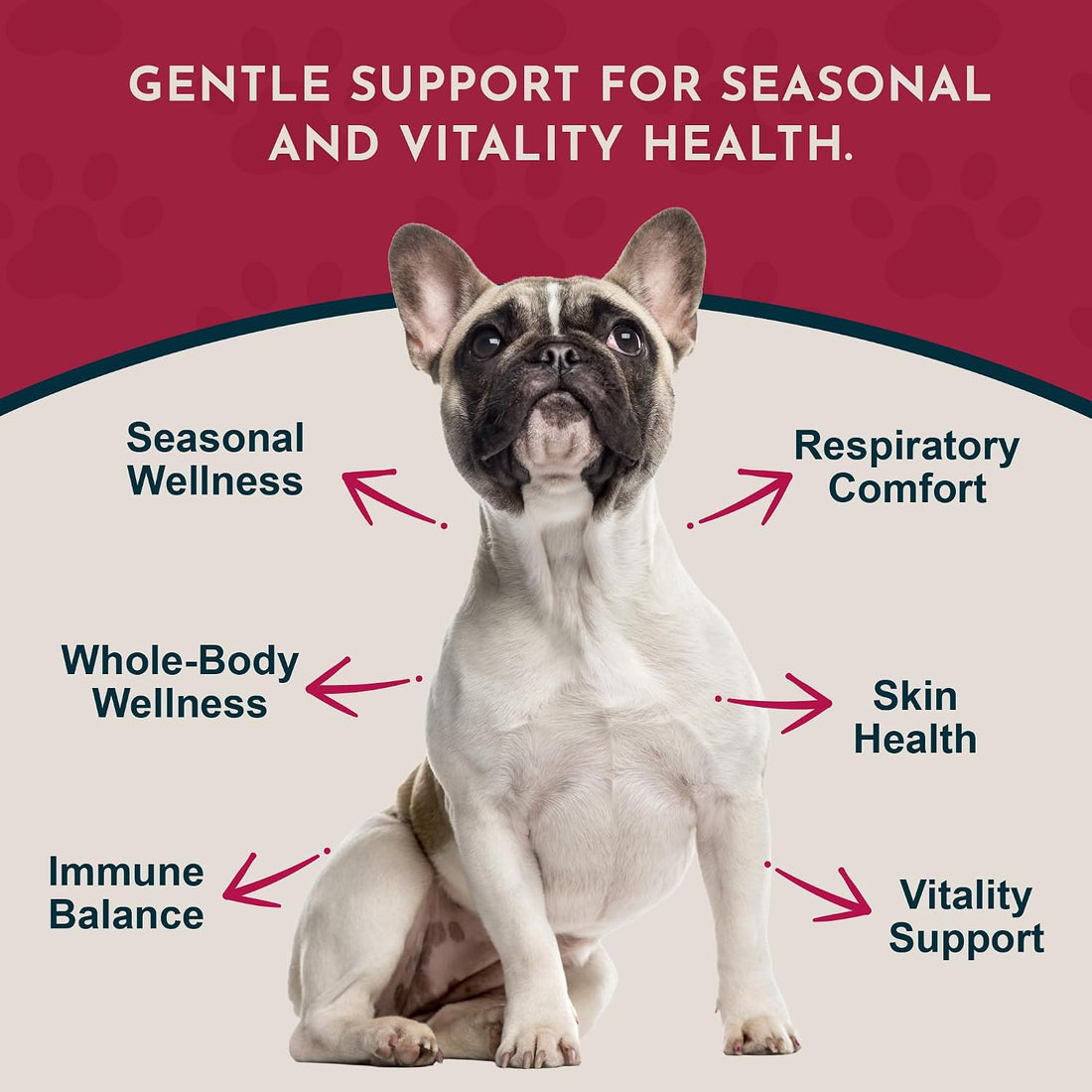 Animal Essentials Nettle Herbal Extract