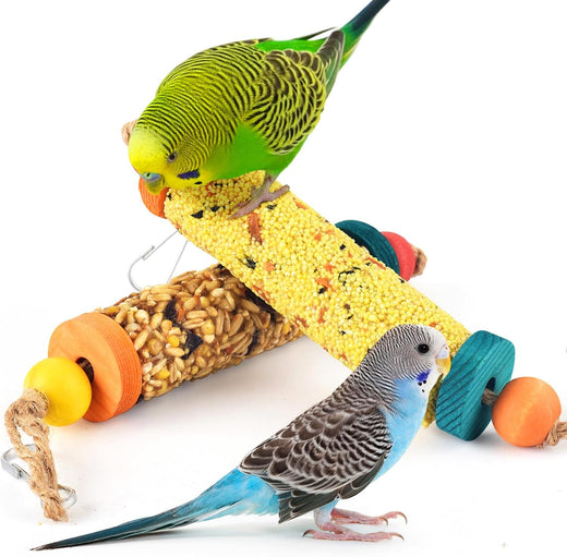 KATUMO 2PCS Bird Treats, Natural Parrots Sticks for Lovebird Conure