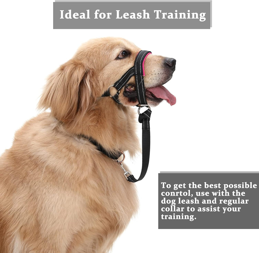 BARKLESS Dog Head Collar, No Pull Training Collar with Soft Padding