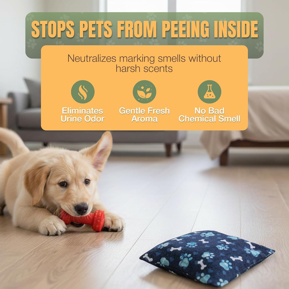 Dog Marking Prevention Product - Dog & Puppy Potty Training Aids