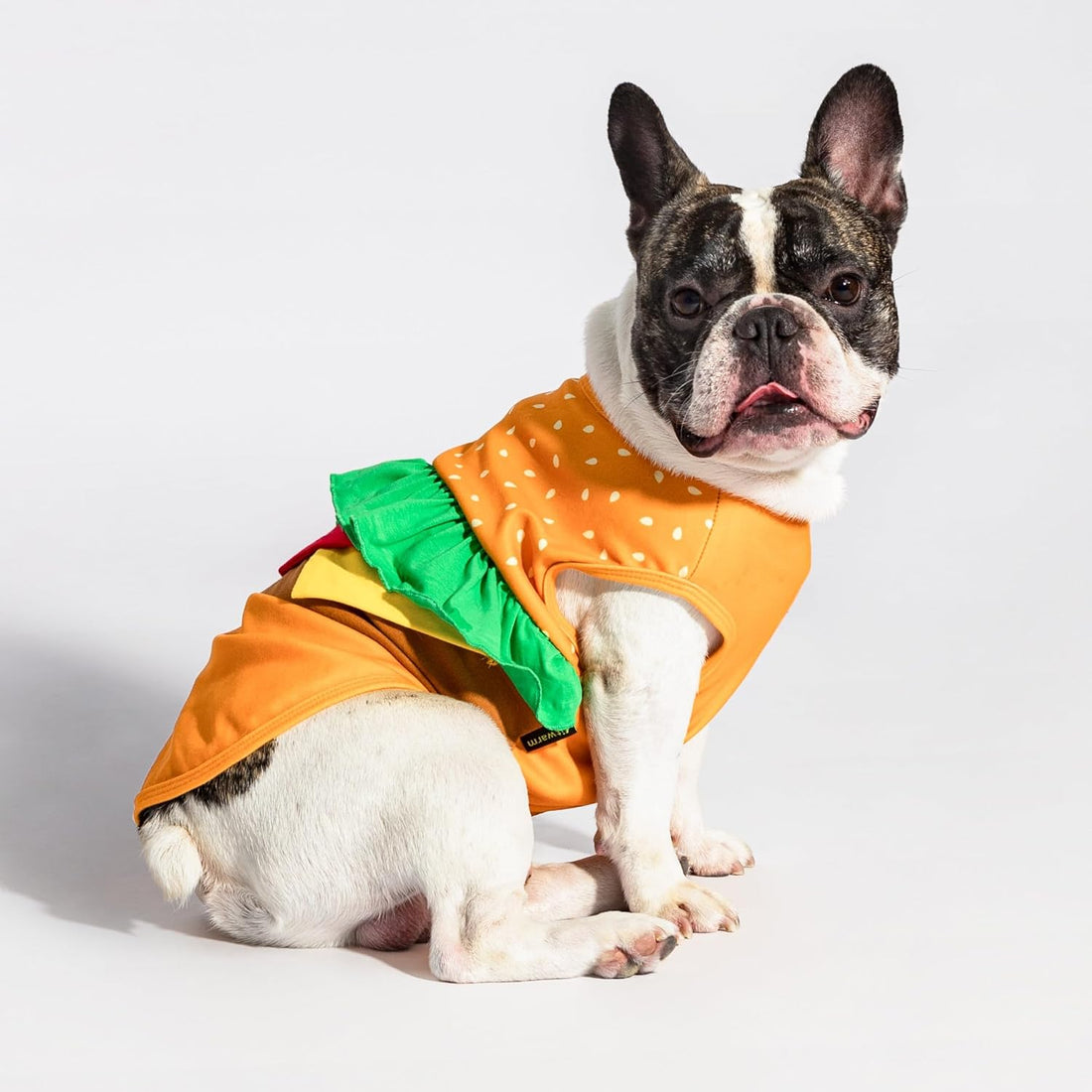 Fitwarm Halloween Dog Hamburger Costume