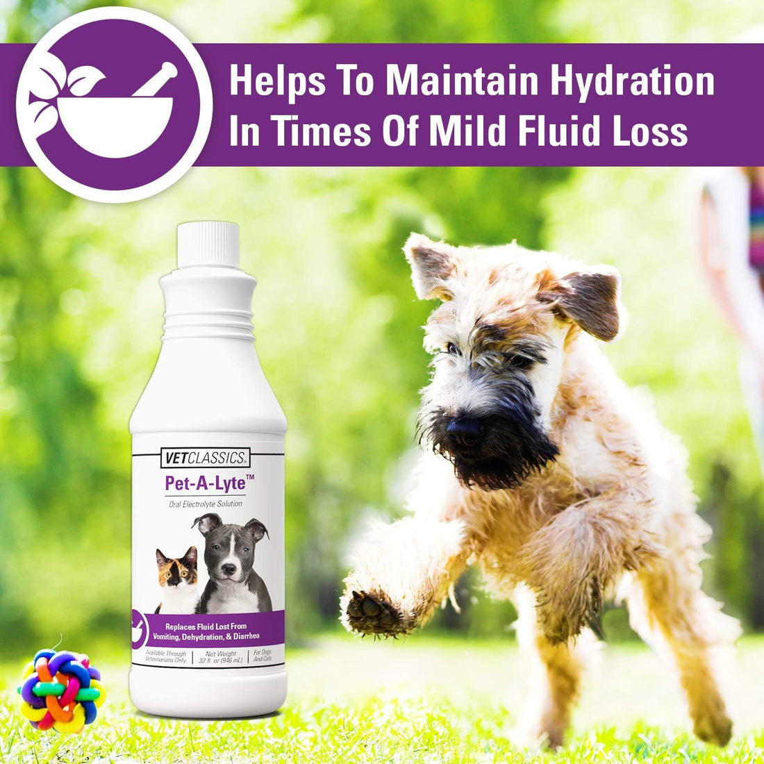 Vet Classics Pet-A-Lyte Oral Electrolyte Solution for Dogs & Cats