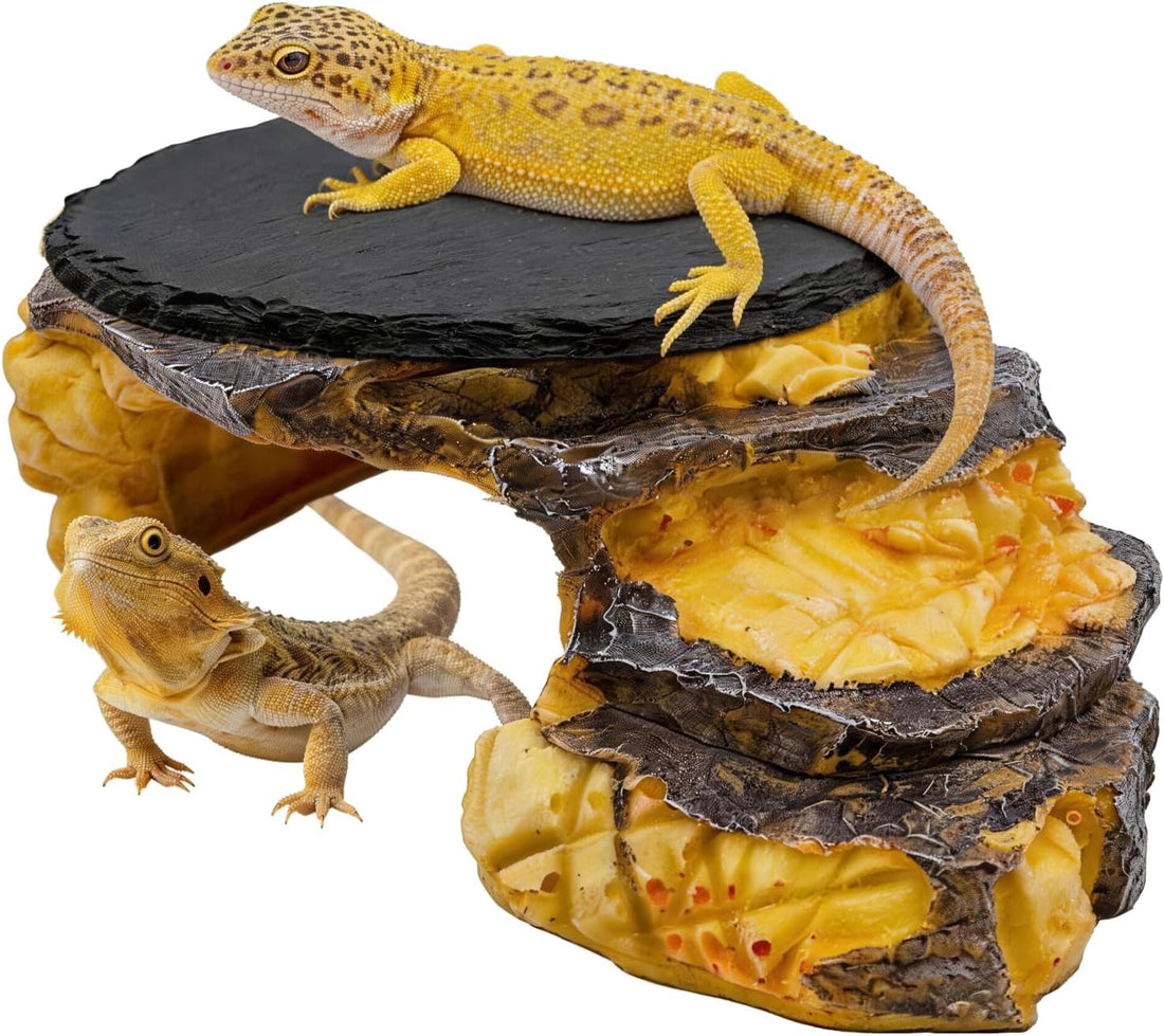 Reptile Basking Platform Gecko Hide Juvenile Beared Dragon Tank