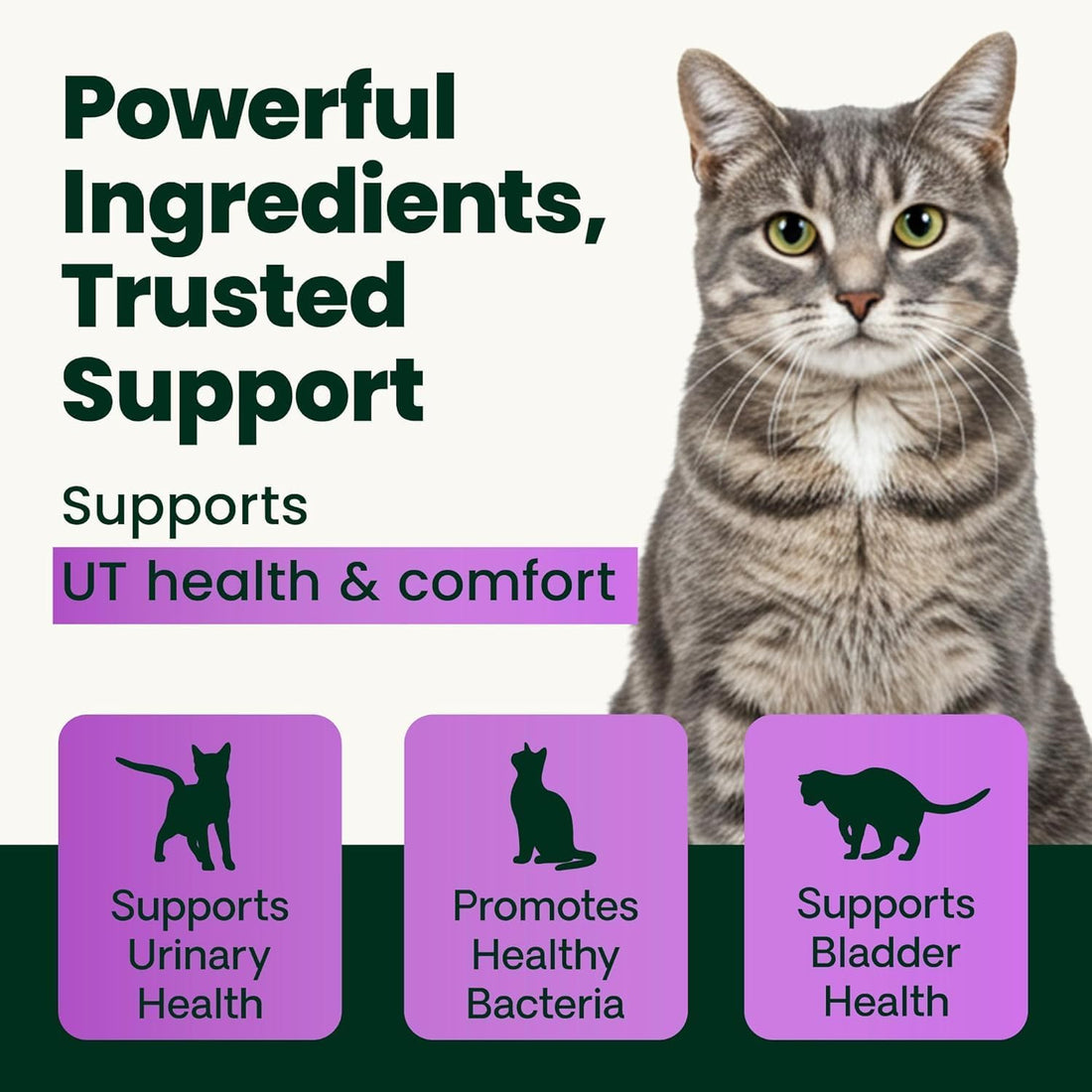 VetriScience UT Health Chews for Cats, Chicken