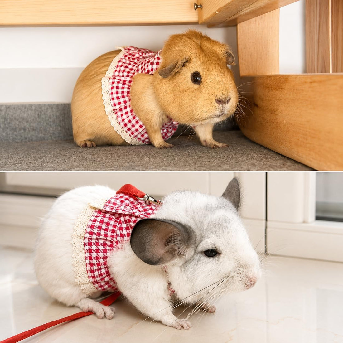 Guinea Pig Harness and Leash Set