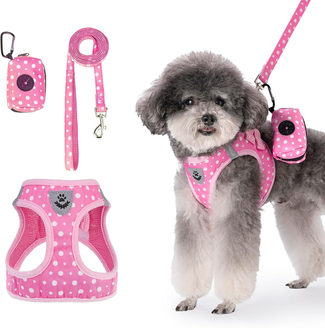 PAWCHIE Christmas Dog Harness and Leash Set