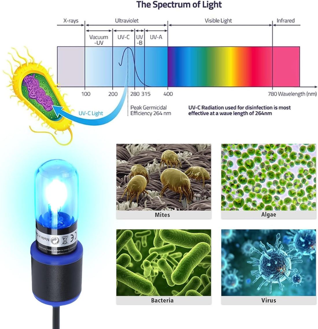 UV-C Aquarium Clean Light with Timer