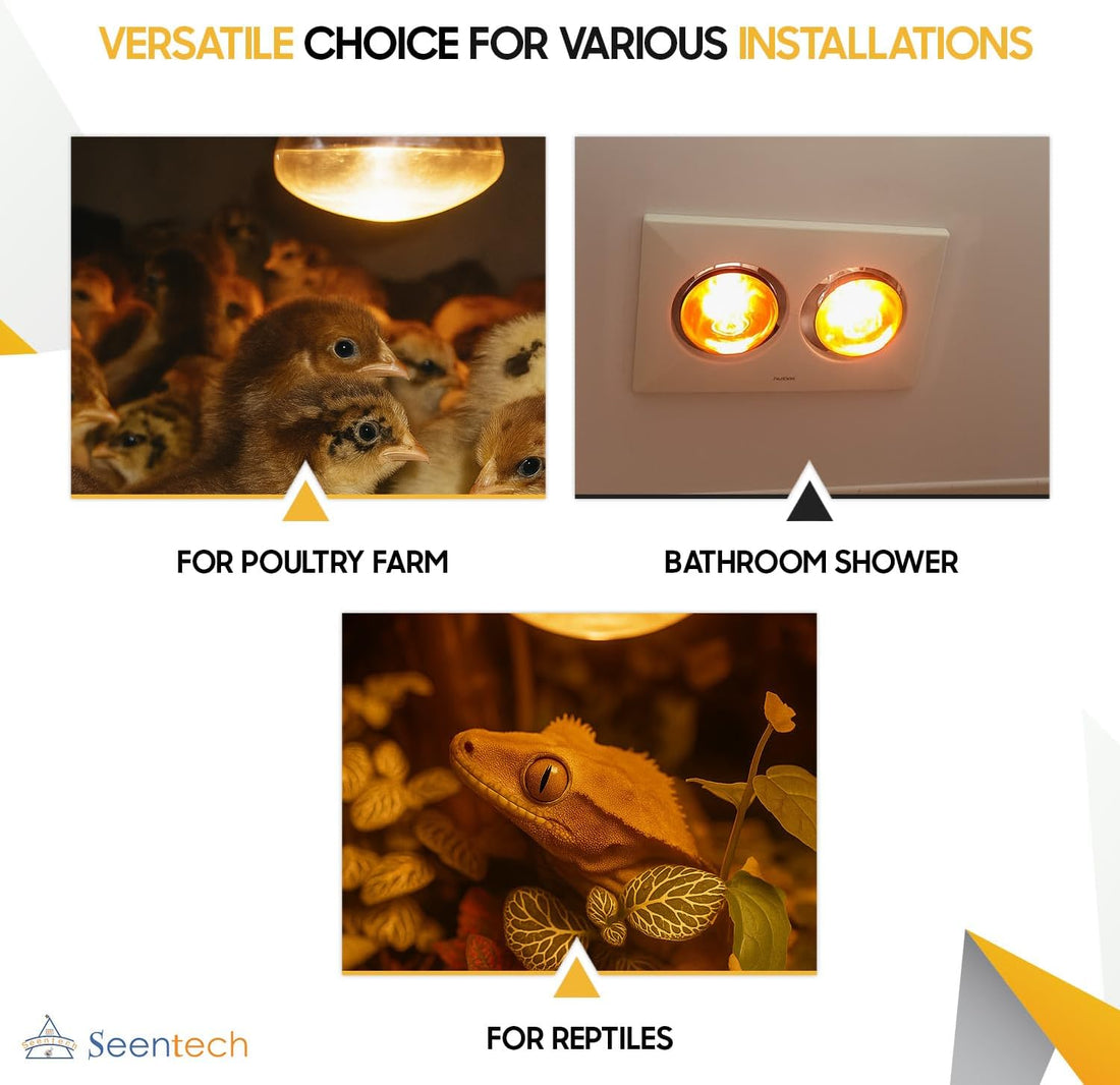 Seentech 250 Watt R40 Clear Heat Lamp Bulb