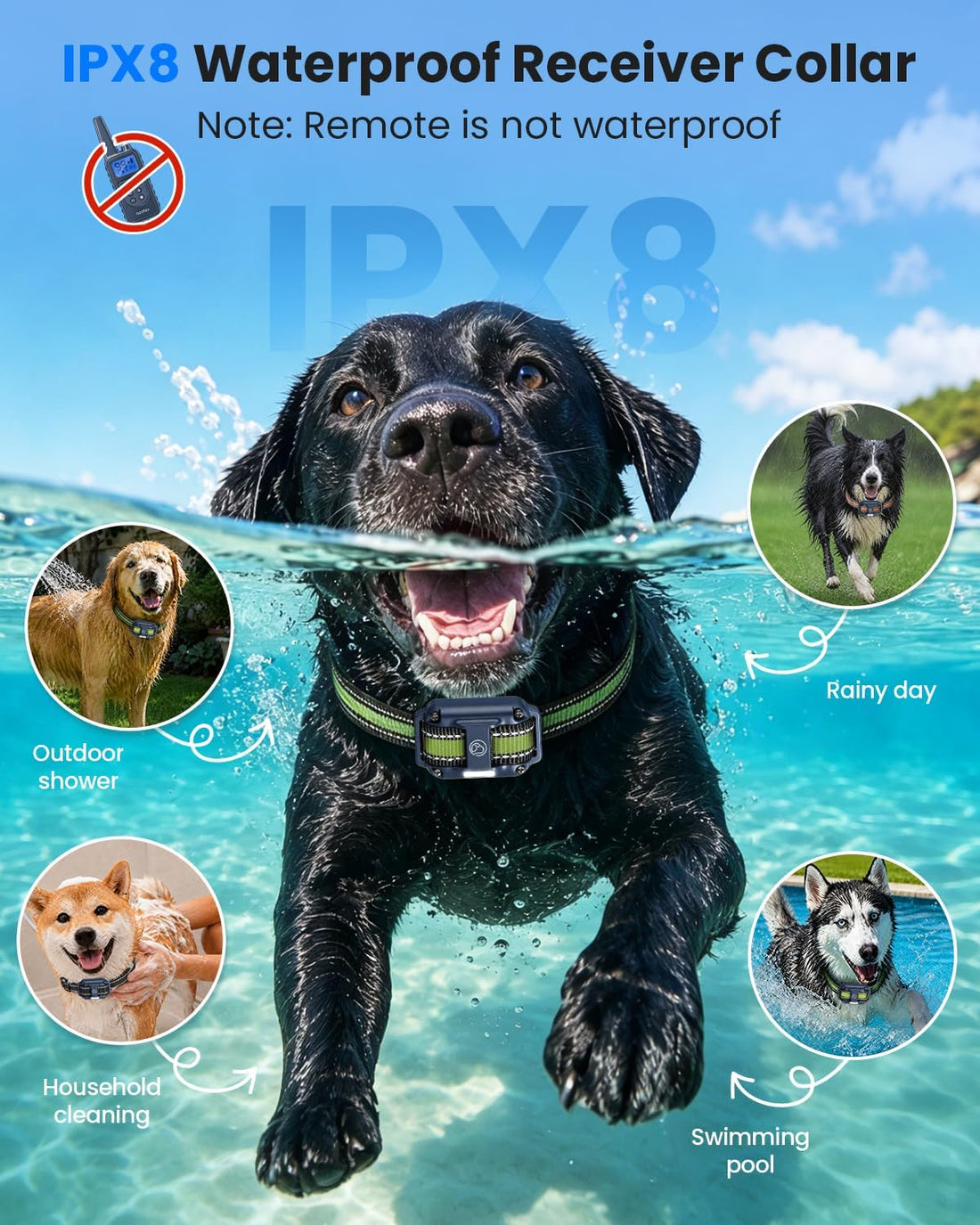 Shock Collar for 3 Dogs, Dog Training Collar with Remote, Rechargeable