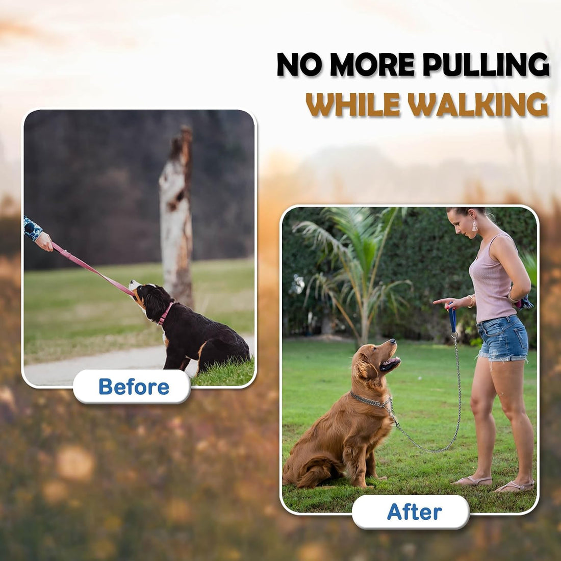 Dog Chain Collar Metal Martingale Anti Chew Training Collars Chew