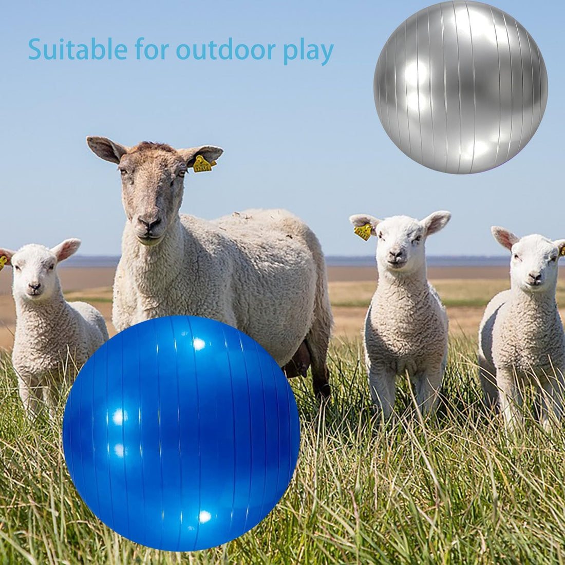 3 Pieces Pet Goat Ball Lamb Toy Horse Ball Dog Training Exercise Ball