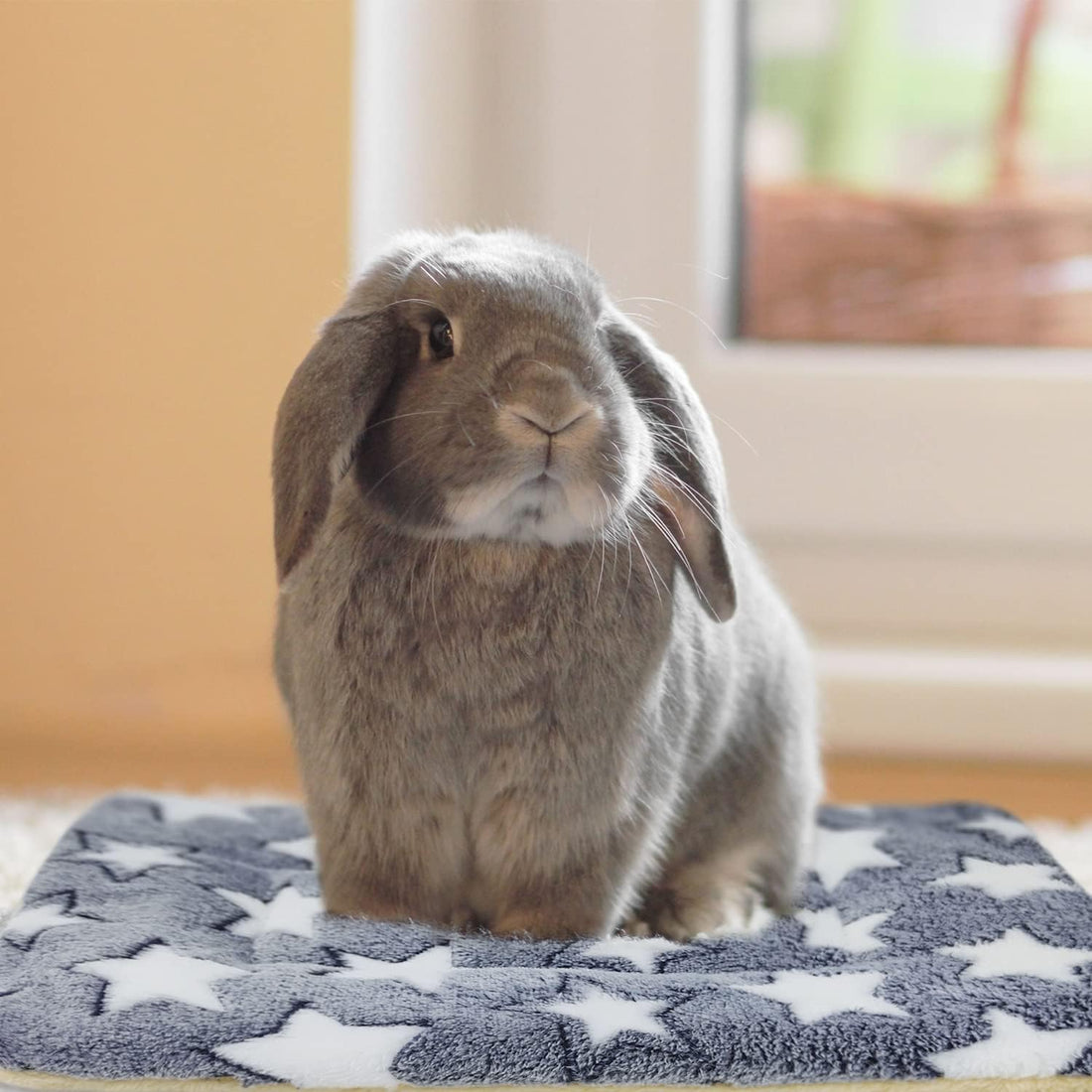 3PCS Rabbit Bed, Soft Bunny Bedding, Fleece Guinea Pig Blanket