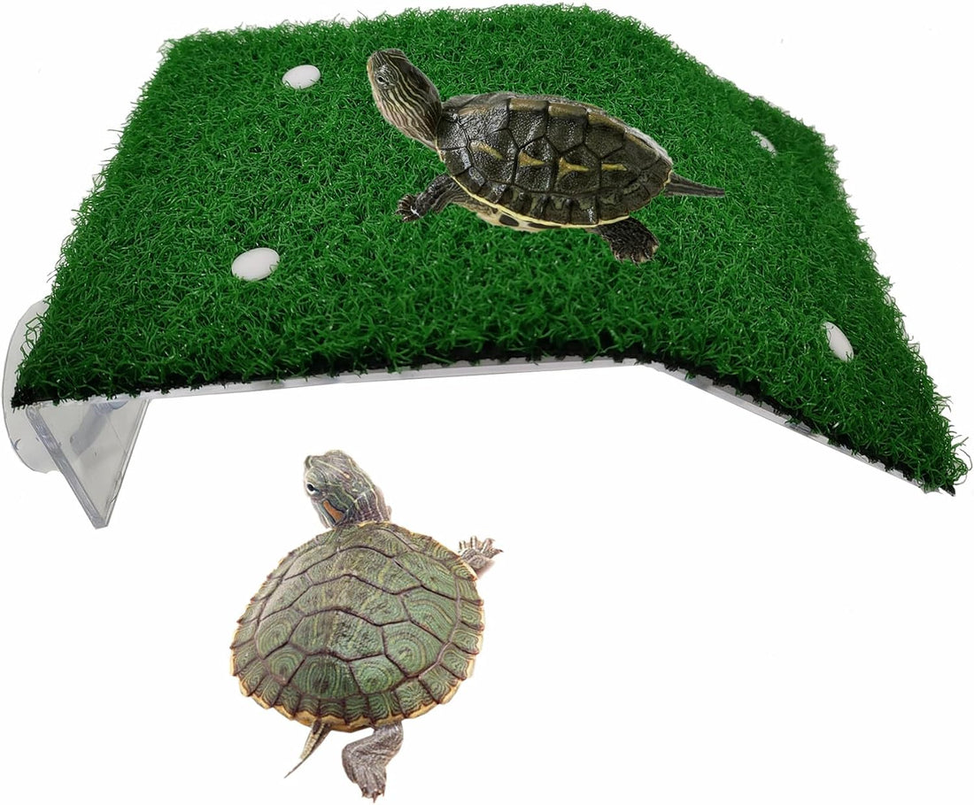 alfyng Small Turtle Resting Basking Platform