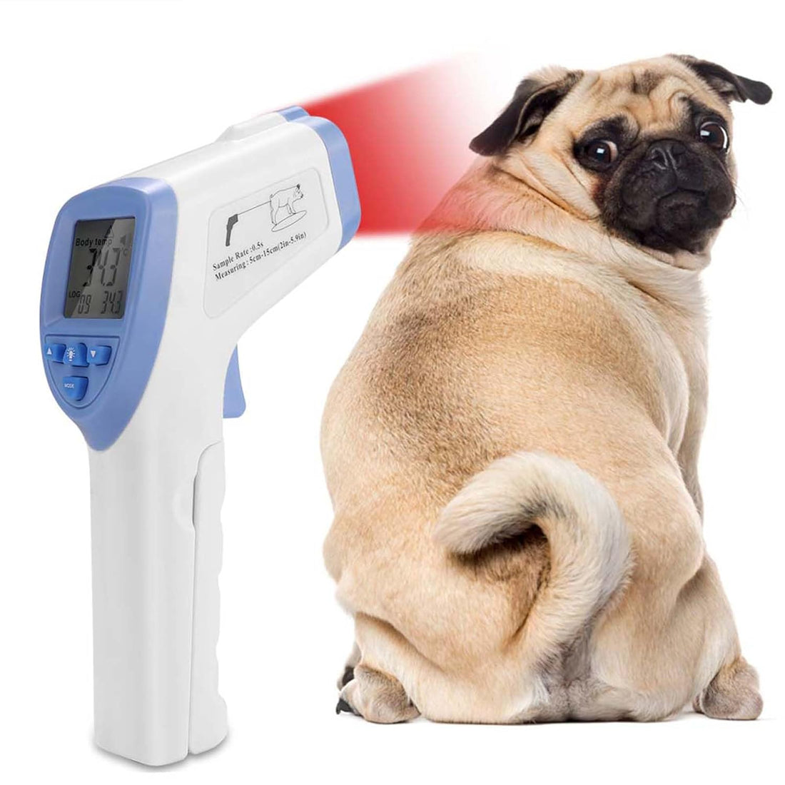 Veterinary Thermometer, Fast Digital 0.1° Accuracy Veterinary