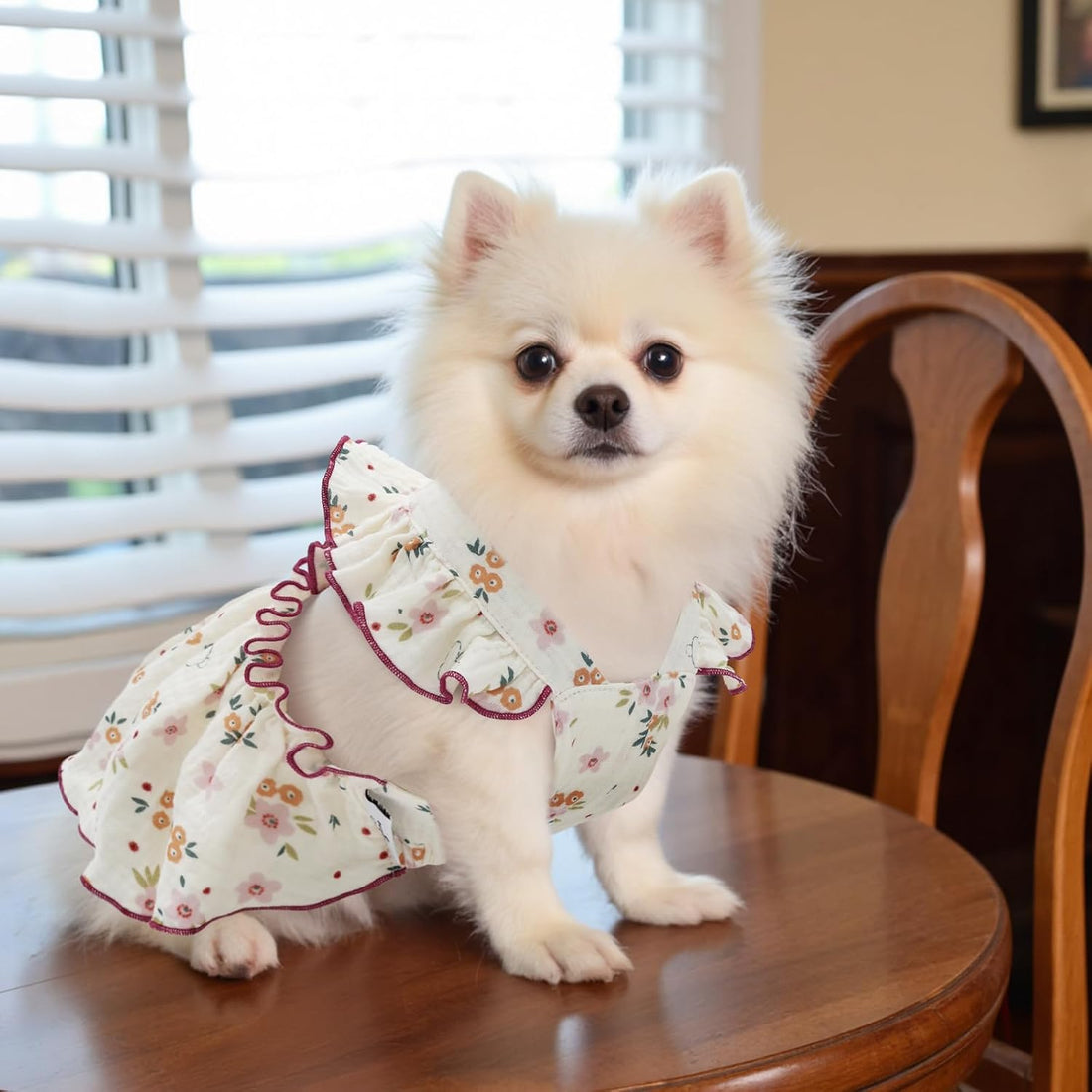 CuteBone Cotton Dog Dress Flowers with Leash Ring & Sleeve Ruffles