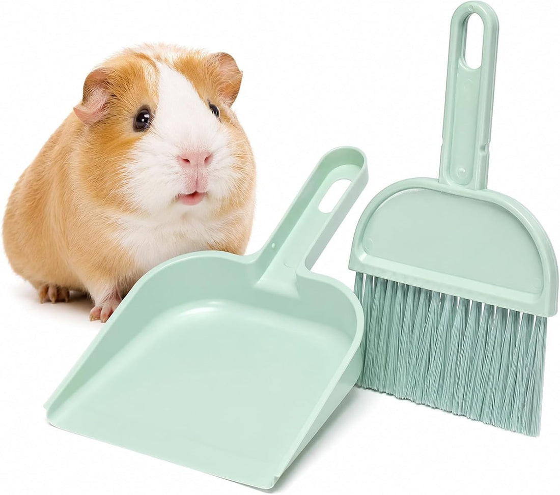 Cage Cleaner for Guinea Pigs Mint Green Mini Dustpan and Brush Set