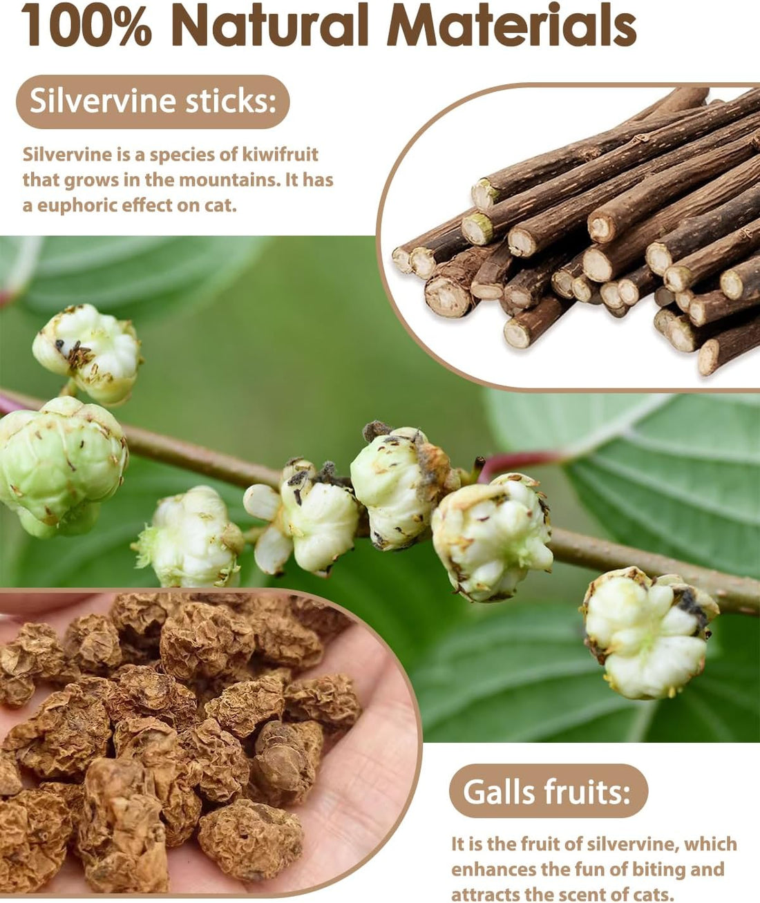 Tocirelo Silvervine Sticks Cat Toys