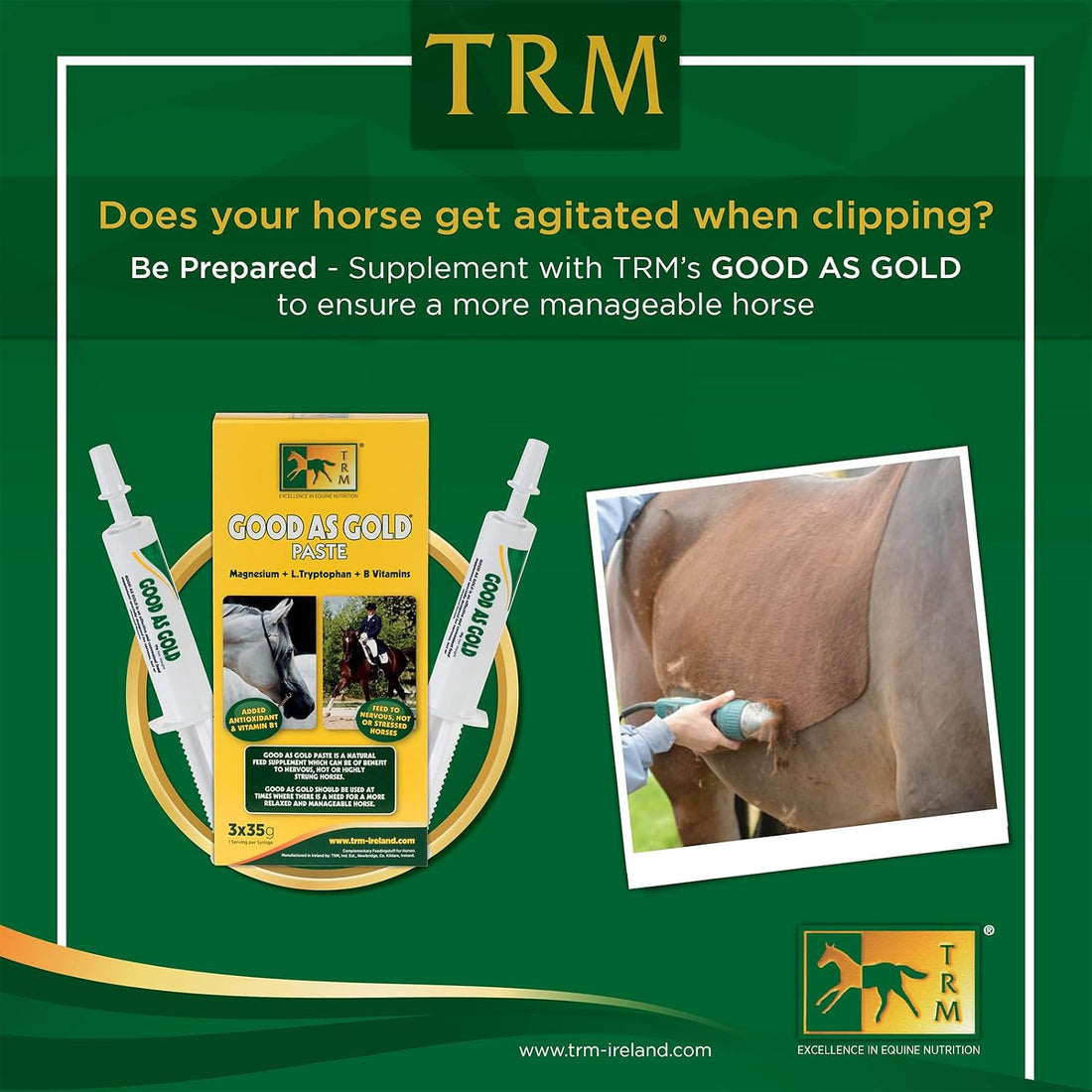 TRM Good as Gold Horse Paste