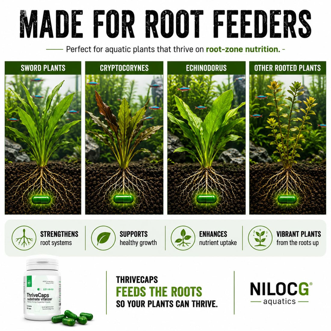 NilocG ThriveCaps Aquarium Root Fertilizer for Planted Tanks, 60 Caps