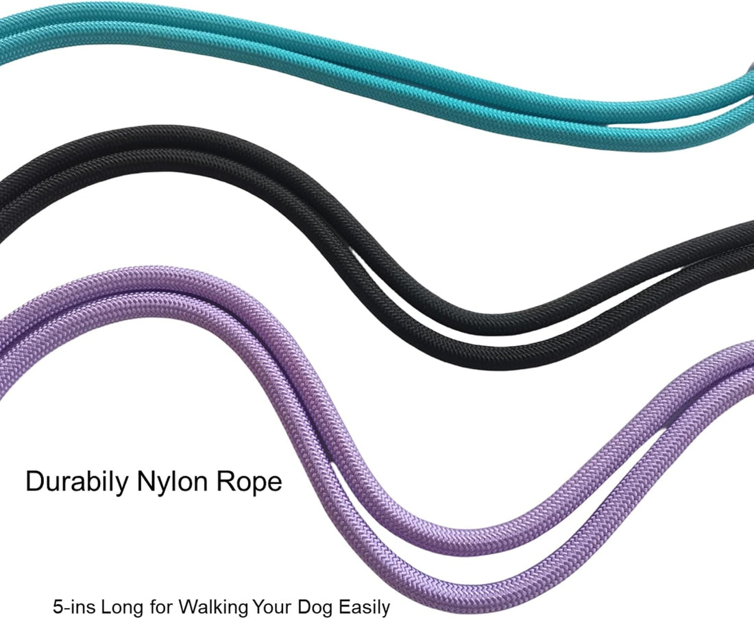 Hands Free Dog Leash,Adjustable Bungee Waist & Crossbody Leash