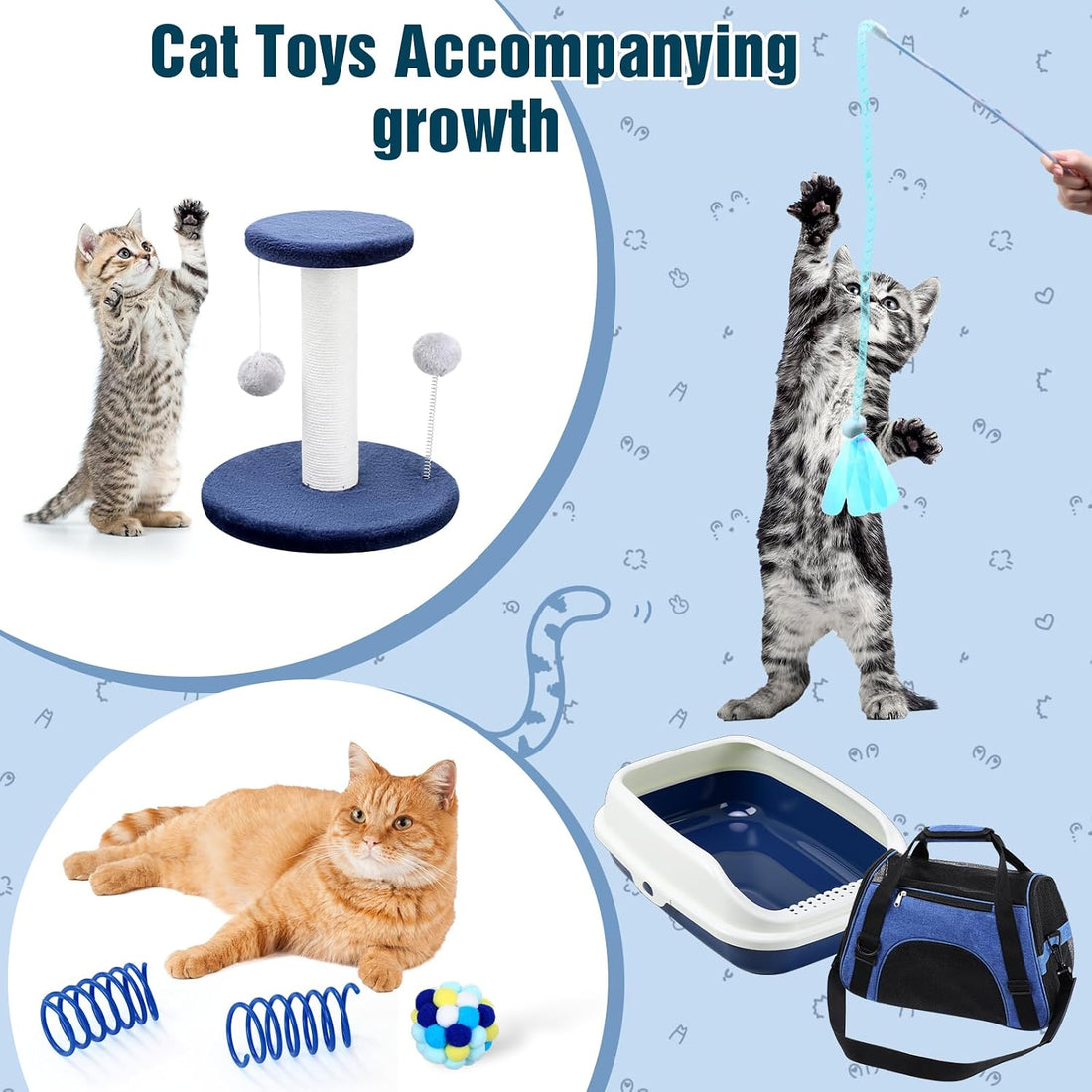 Eccliy 10 Pcs Kitten Starter Kit for Indoor