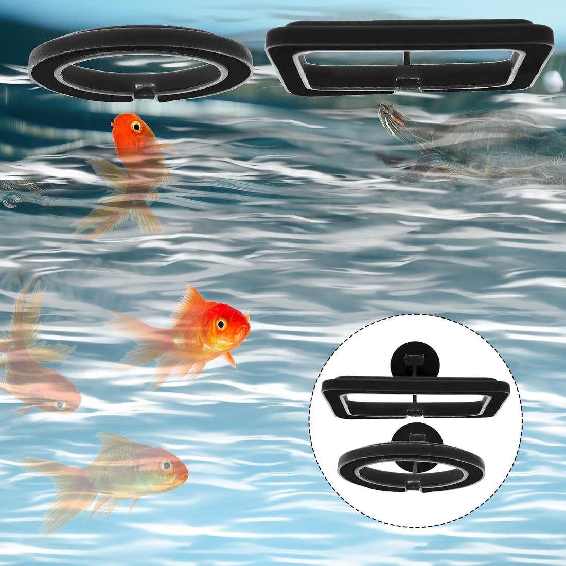 2 PCS Fish Feeding Ring, Aquarium Feeding Ring Automatic Goldfish