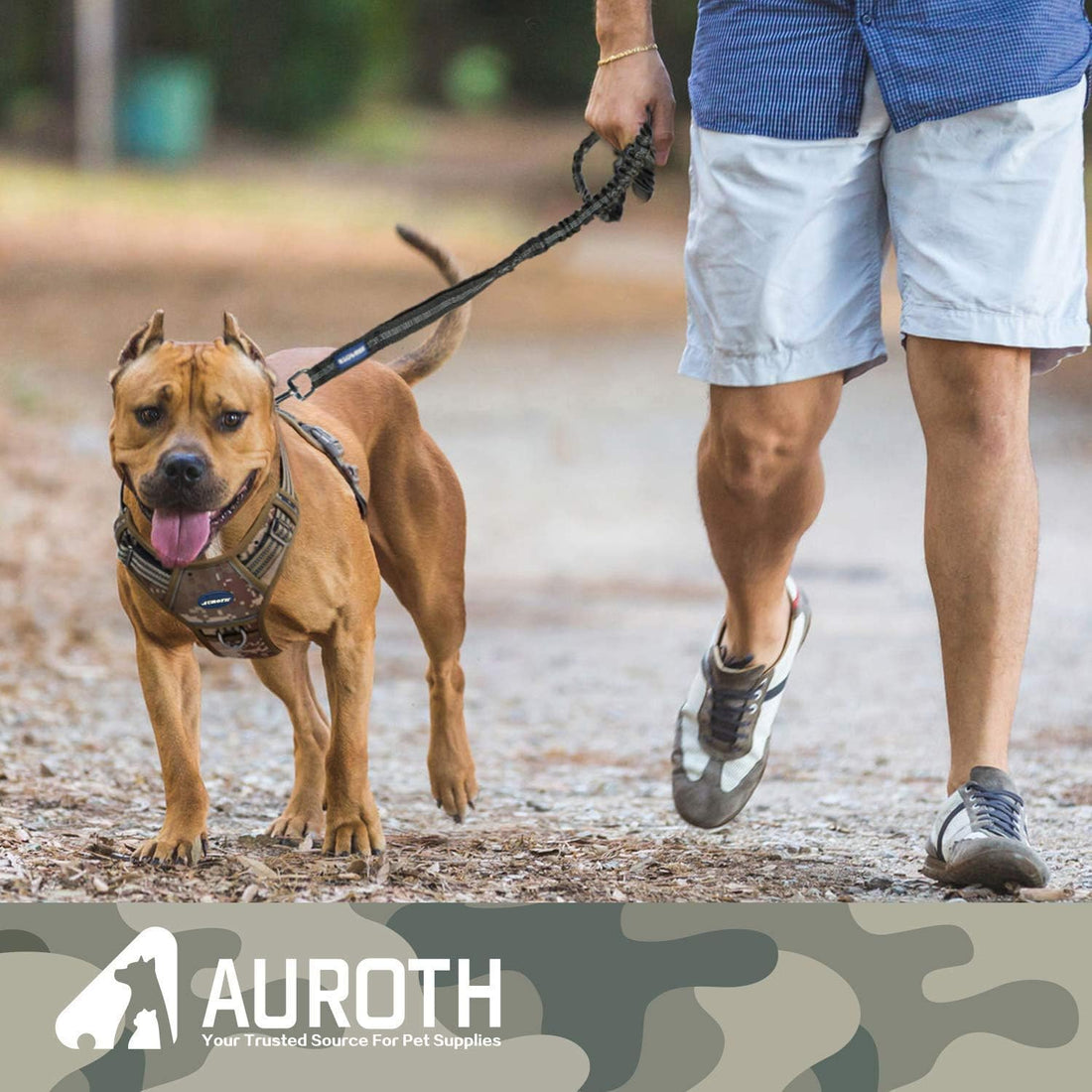 AUROTH Heavy Duty Bungee Dog Leash for Shock Absorption
