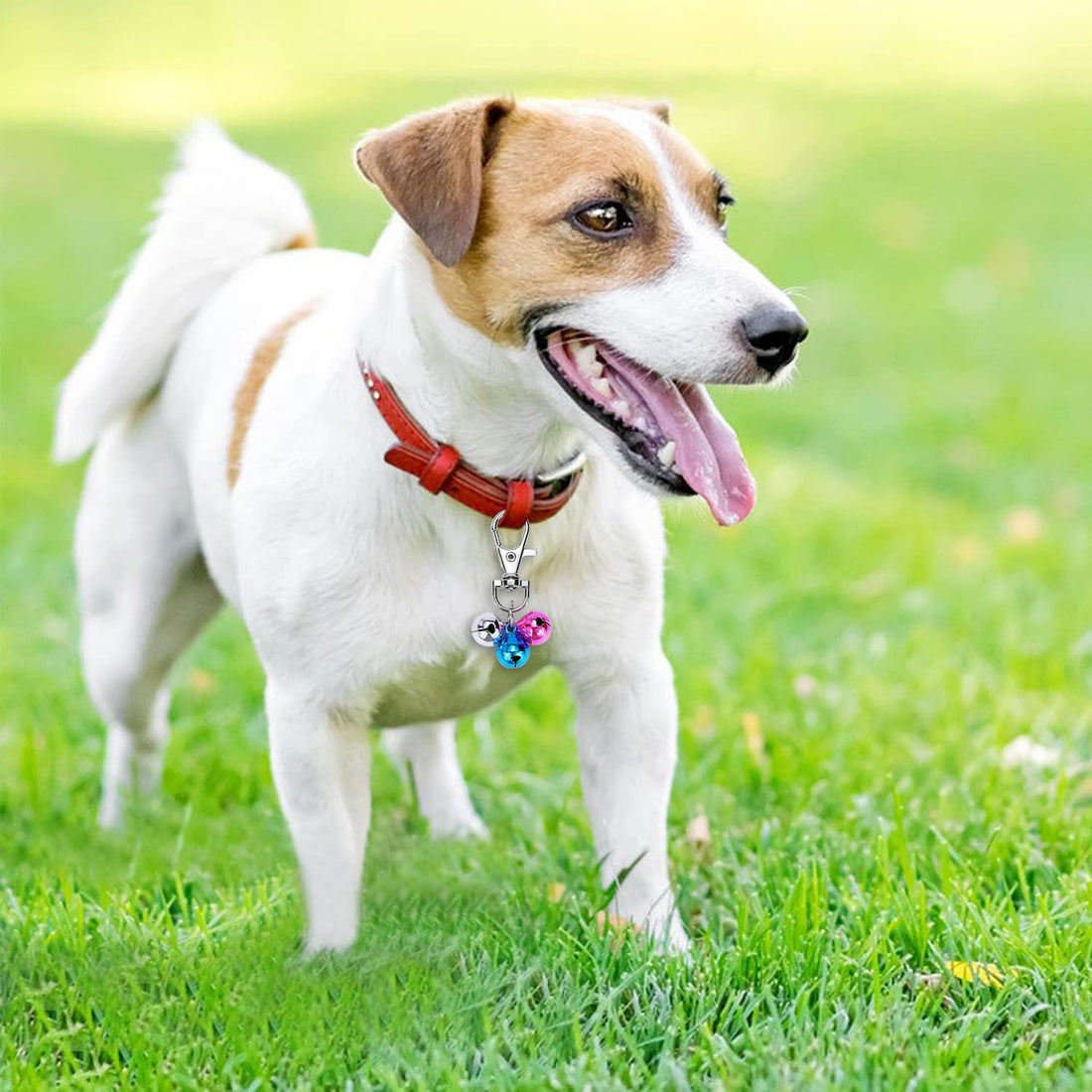 Wontee Cat Collar Bells Loud Dog Bell Training Charm Pendants for Pet