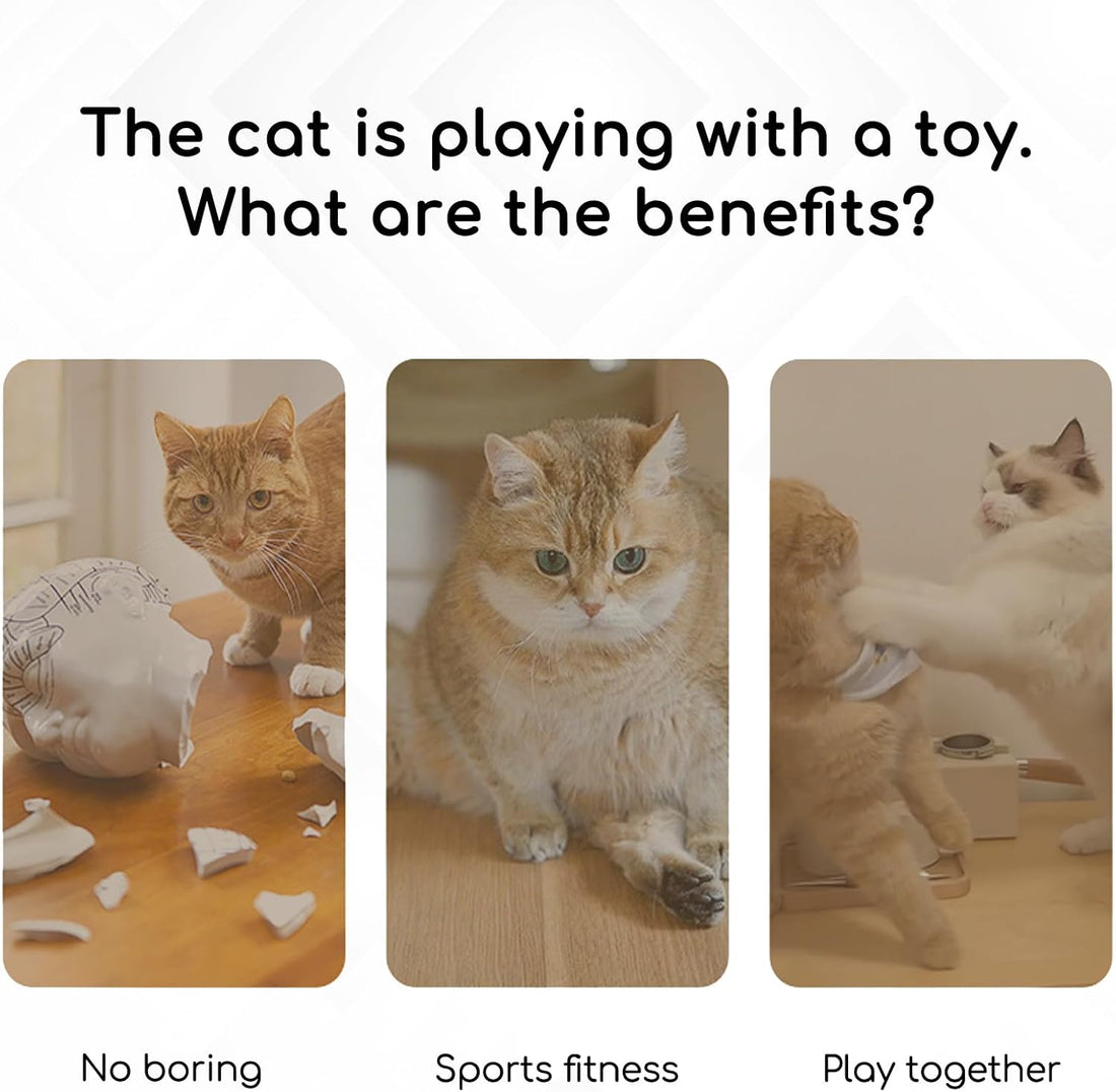 Interactive Cat Toys, Rechargeable with Auto Play and Bird Chirps