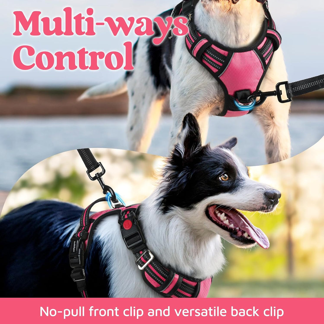 rabbitgoo Dog Harness for Large Dogs, No Pull Pet Vest with 3 Buckles