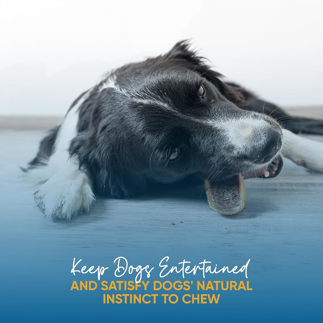 123 Treats | Hooves for Dogs