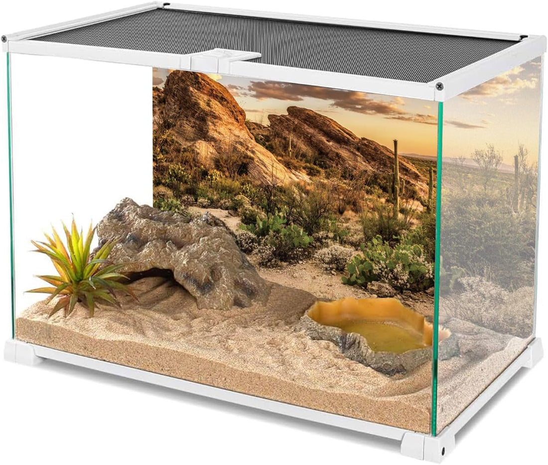 36x18 in Desert Reptile Habitat Backdrop Oasis Cactus Terrarium