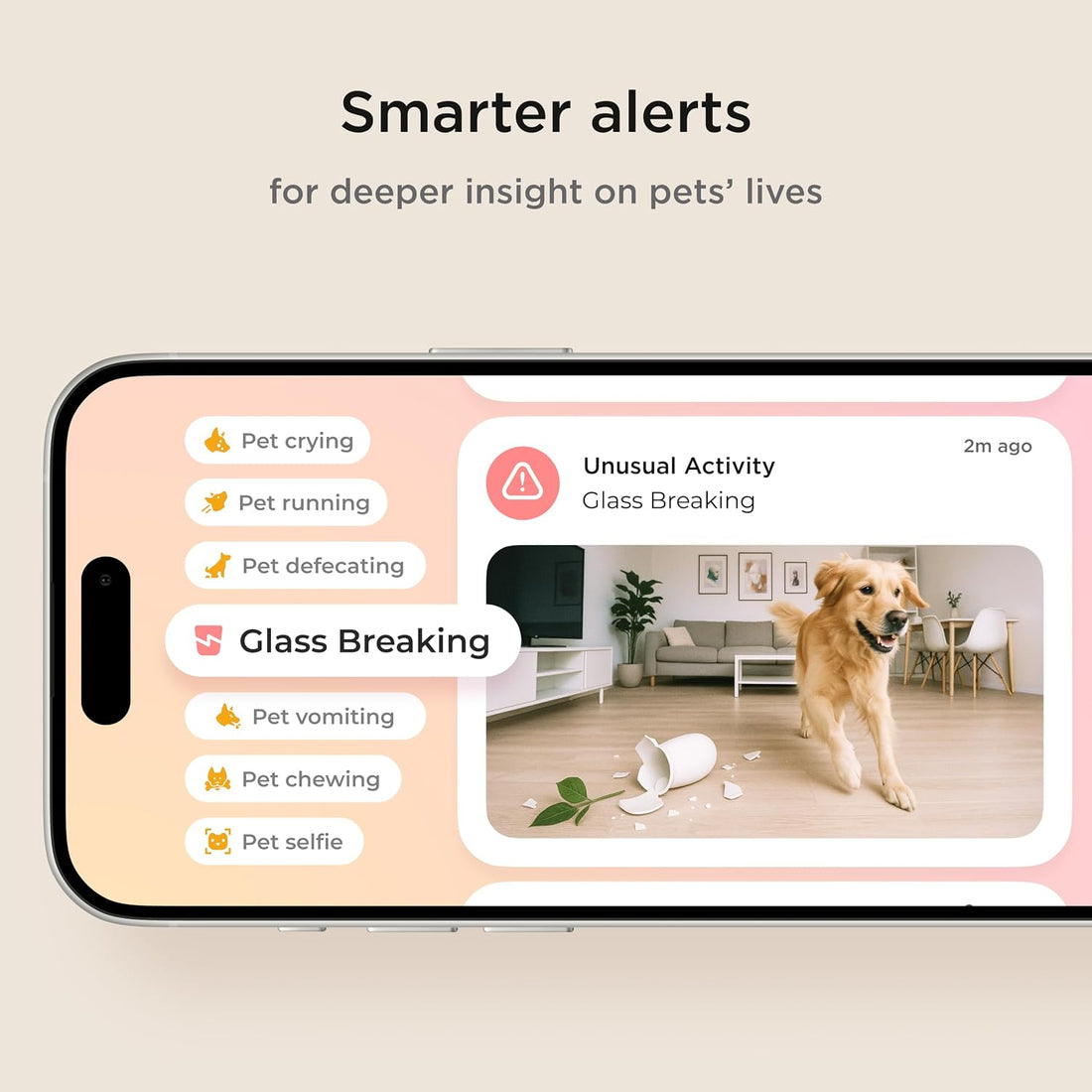 Petcube Cam | Indoor Wi-Fi Pet and Security Camera with Phone App