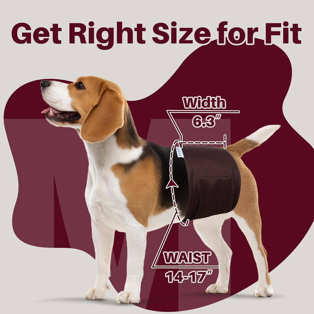 Pet Soft Dog Belly Bands Space M + Dog Suspenders 2 Pieces M