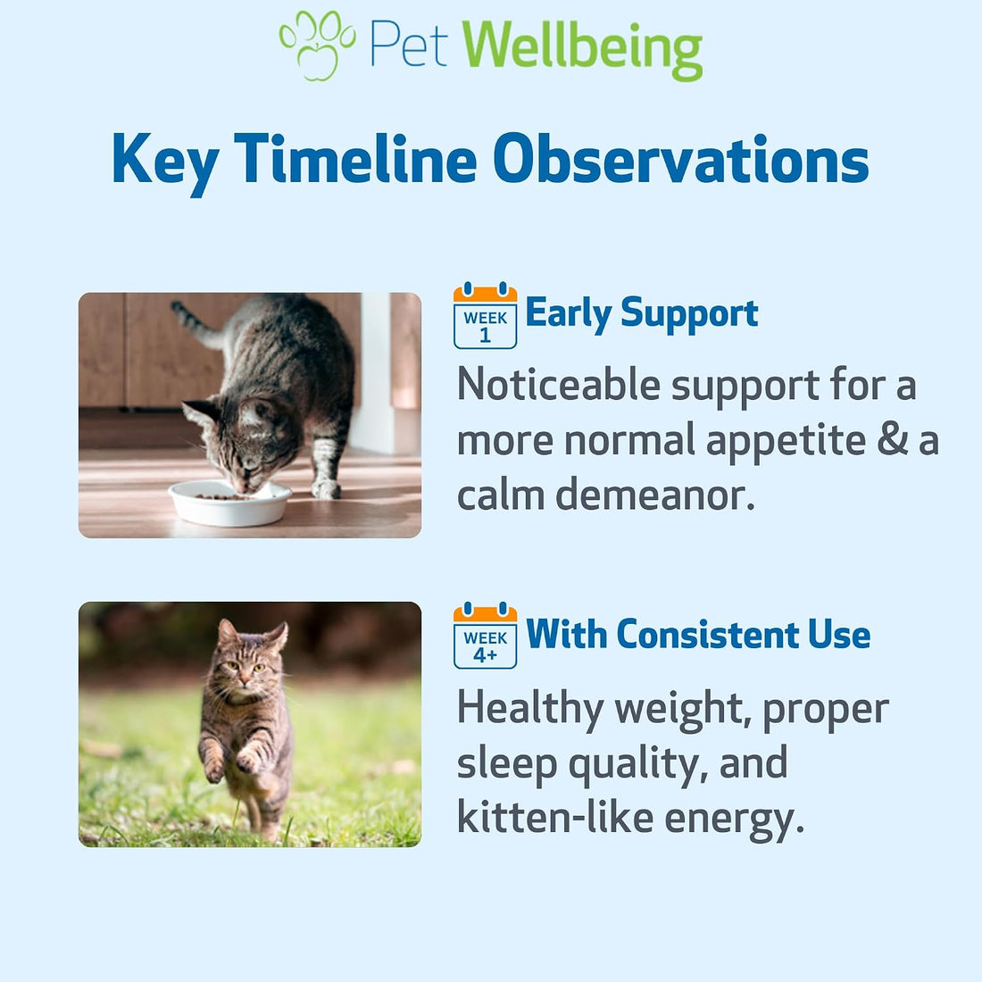Pet Wellbeing Thyroid Support Gold for Cats - Thyroid Support, 2 oz