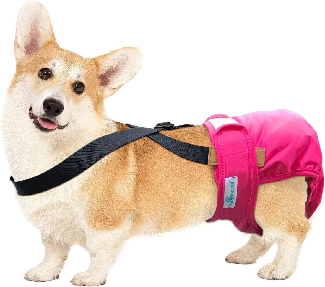 Paw Inspired Dog Diaper Suspenders, Hook & Loop Fasteners, M/L Size
