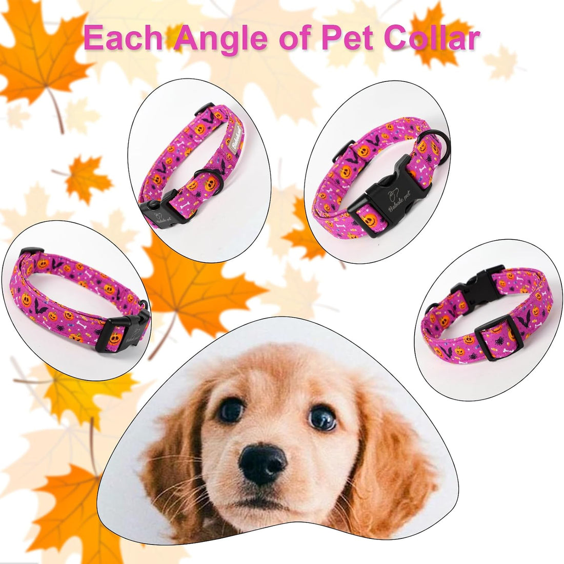 Halloween Dog Collar, Purple Pumpkin Bat Print Puppy Collar