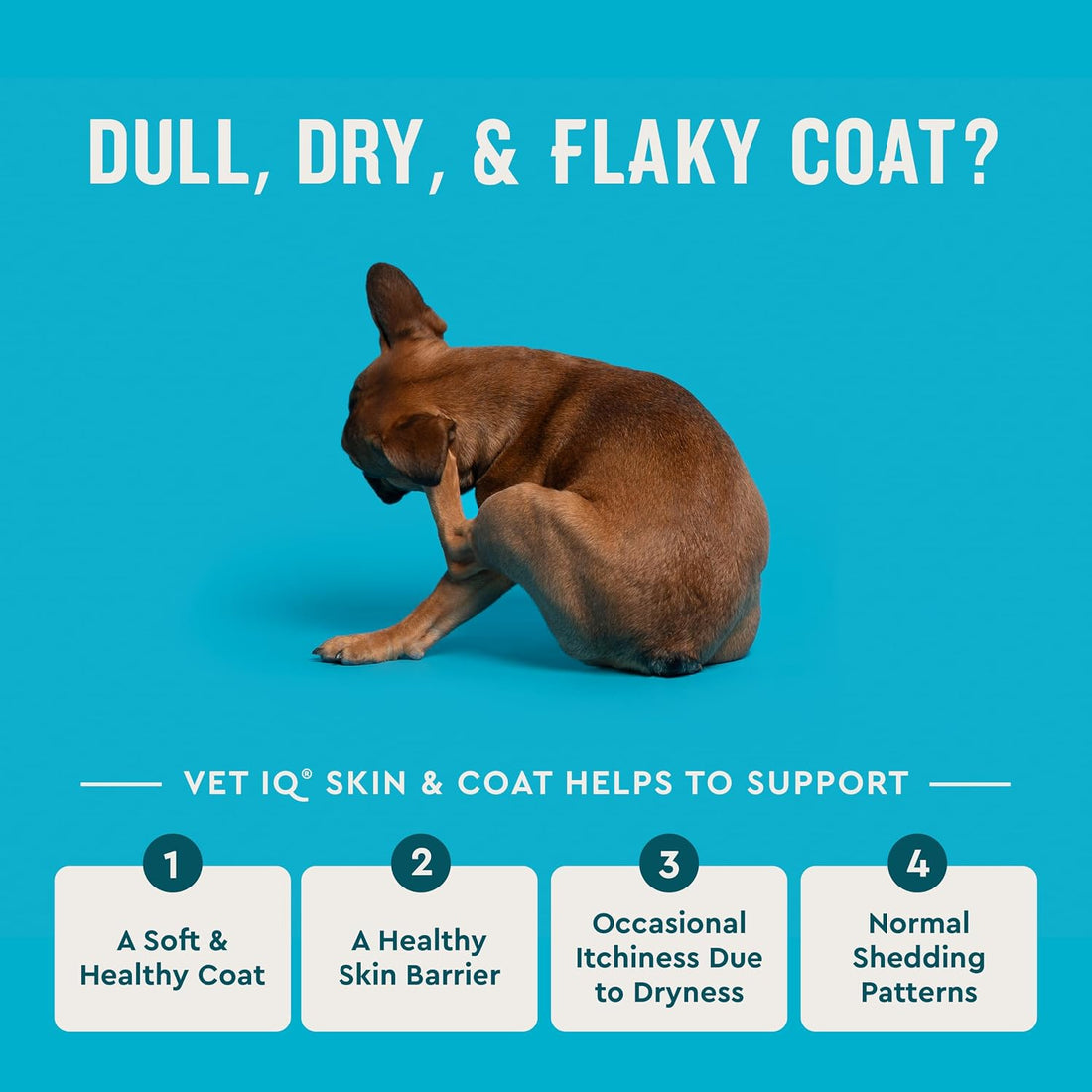 VetIQ Skin and Coat Supplement for Dogs