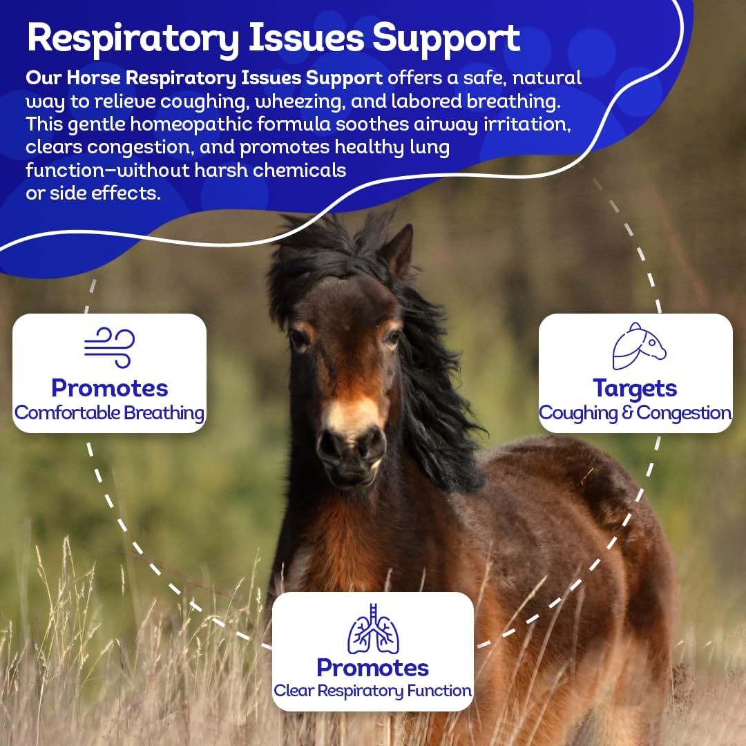 HA4E - Horse Respiratory Issues Support - Helps Prevent Heaves