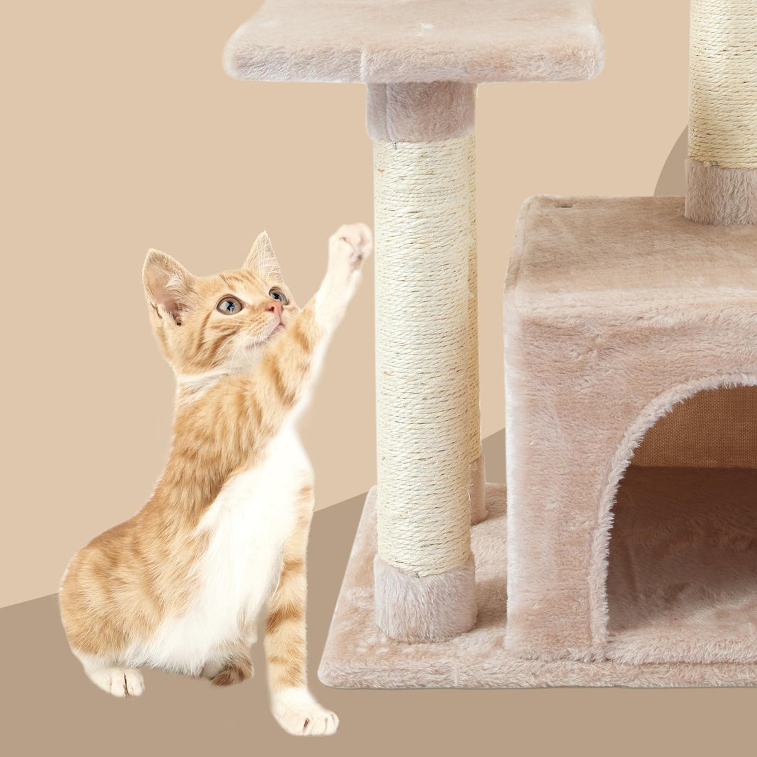 FISH&NAP Cute Cat Tree Kitten Cat Tower for Indoor Cat Condo Sisal