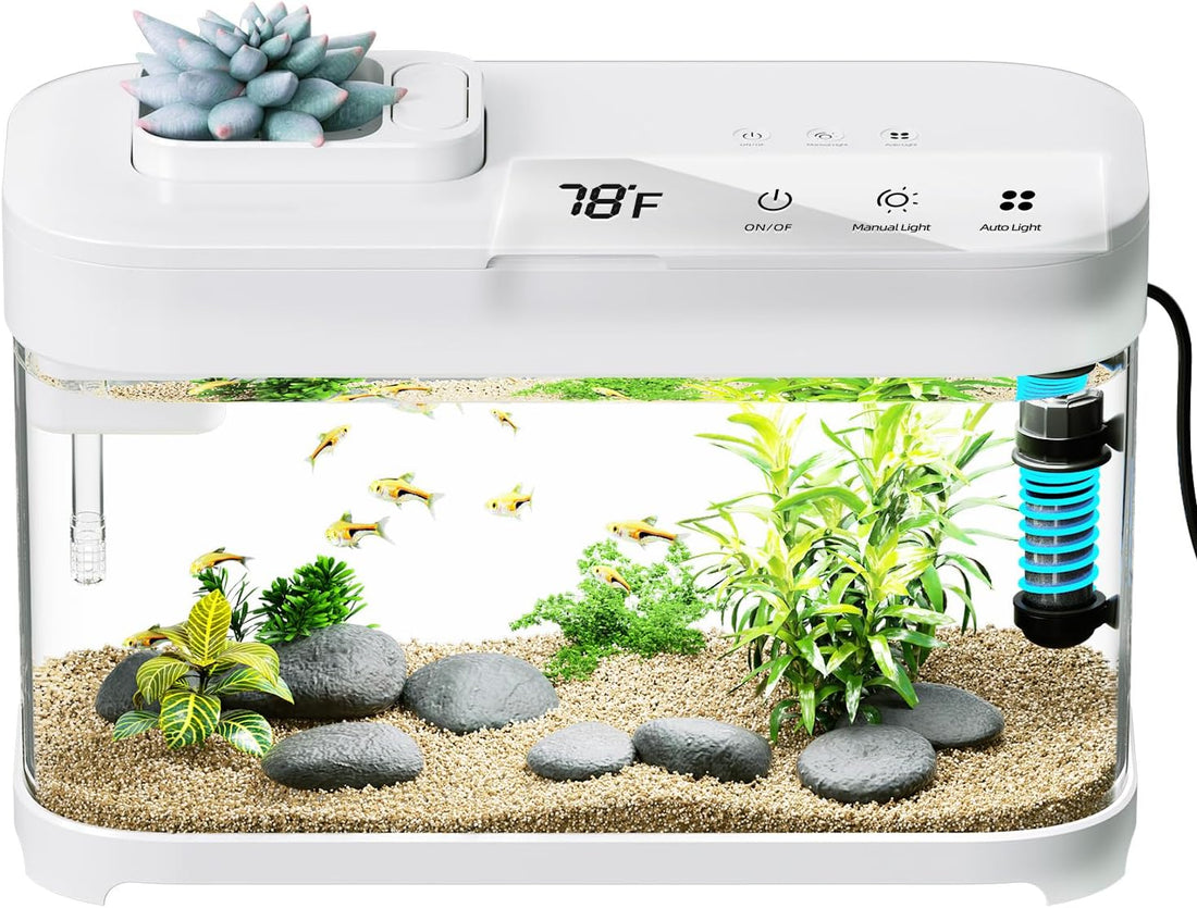 3 Gallon Fish Tank Starter Kit with Heater Hidden Filtration Light