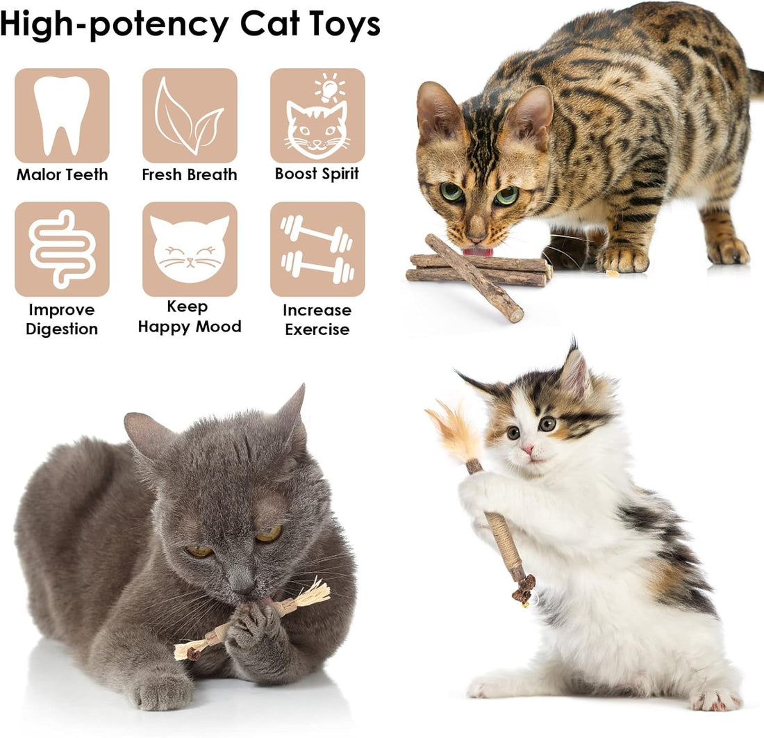 Bissap 10 PCS Silvervine Chew Sticks for Cats
