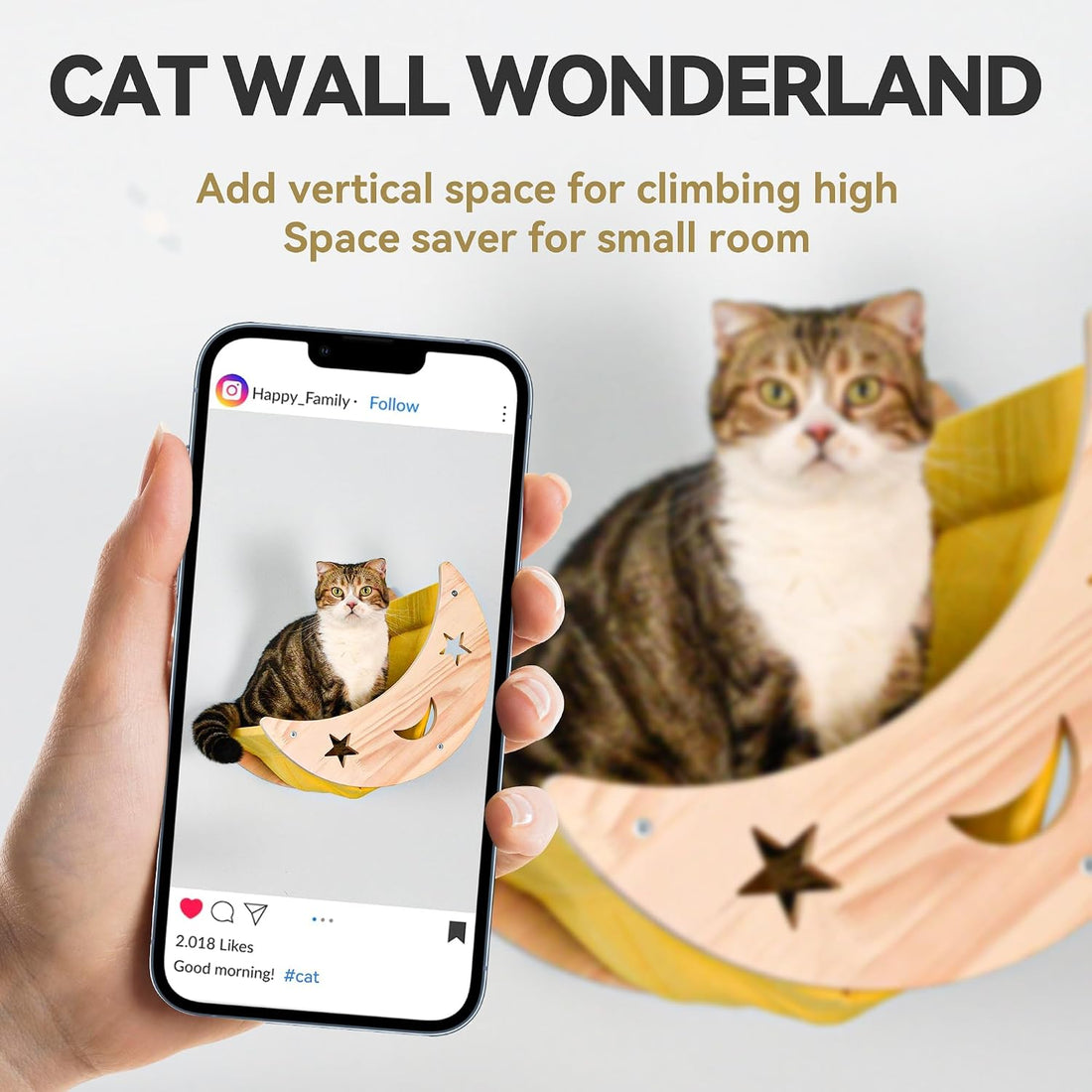 Wall Cat Bed Moon Hammock Wall Mounted Shelf with 2 Steps Climbing
