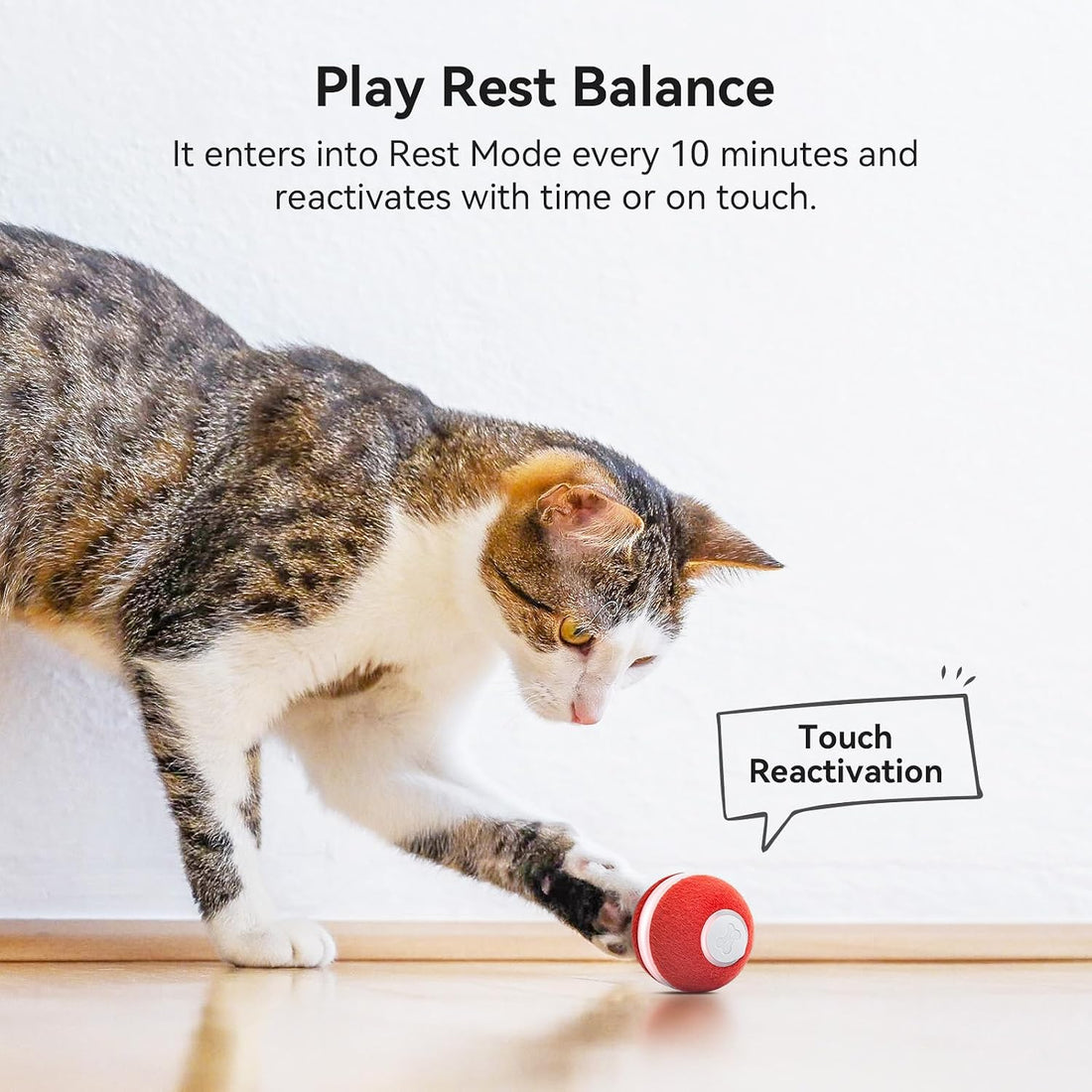 Cheerble Interactive Cat Ball Toy