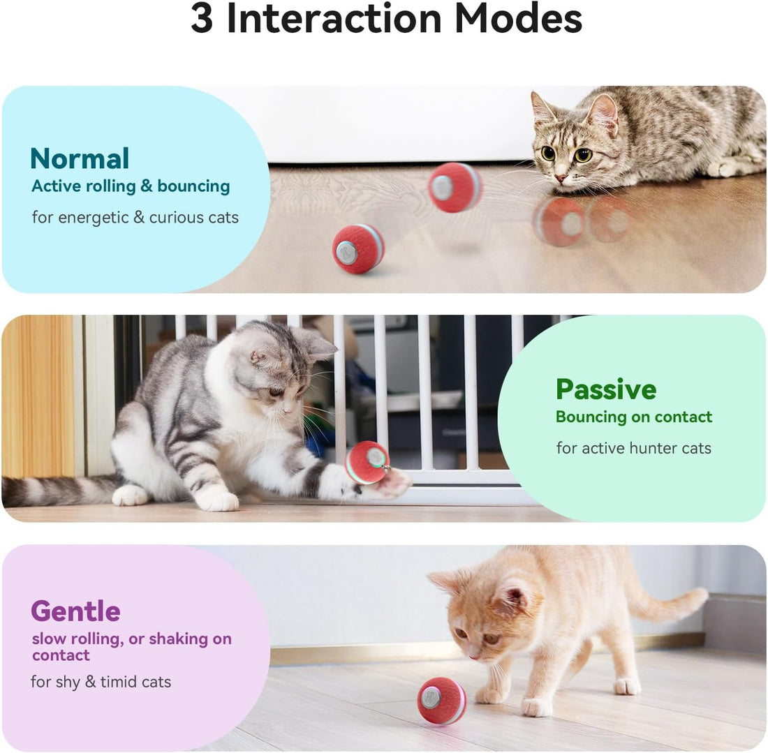 Cheerble Interactive Cat Ball Toy
