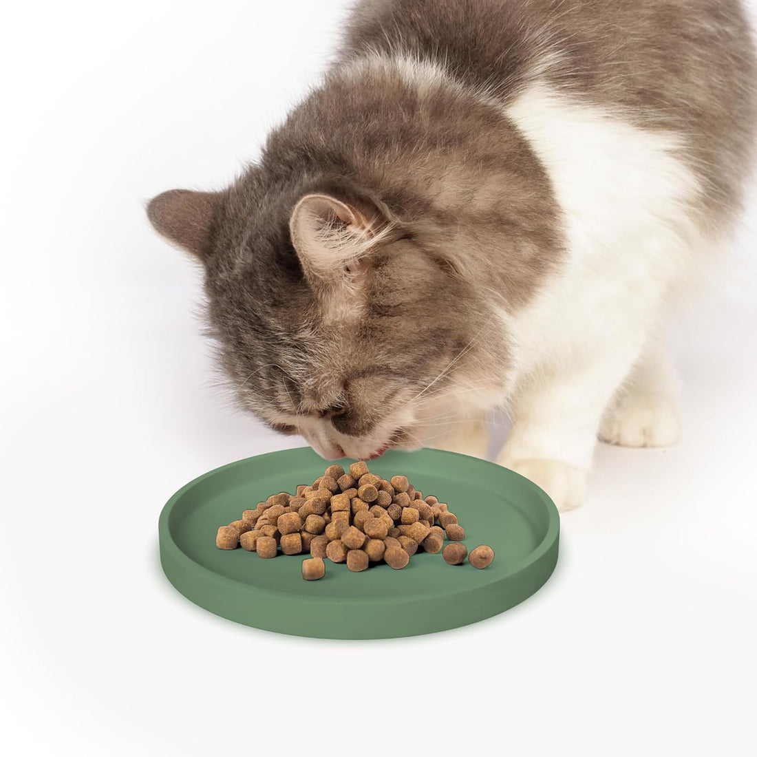 Arespark Pet Silicone Food Mat